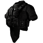 Level 4 body armor in-game item